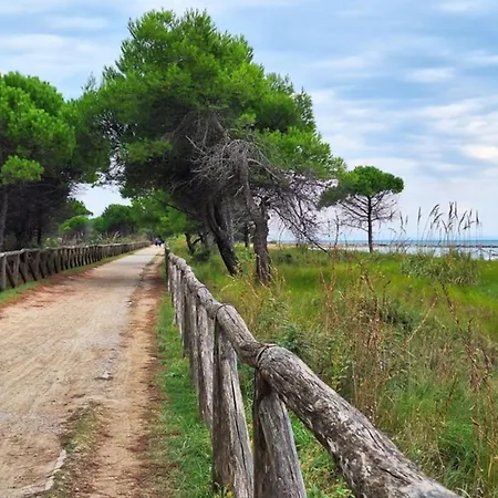 Serene Escape-beahost Lägenhet *